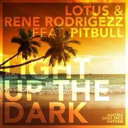 Album cover of Light up the Dark (feat. Pitbull)