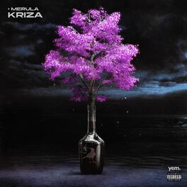 Album cover of Kriza
