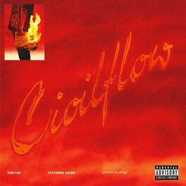 Album cover of Cioilflow