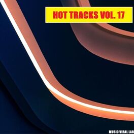 Album cover of Hot Tracks Vol. 17