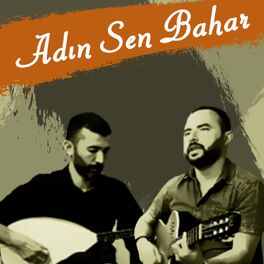 Album cover of Adın Sen Bahar