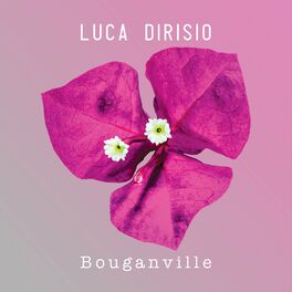 Album cover of Bouganville