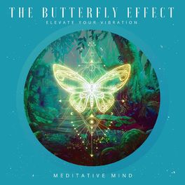 Album cover of The Butterfly Effect : Elevate Your Vibration