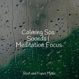 Album cover of Calming Spa Sounds | Meditation Focus