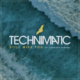 Album cover of Still Miss You