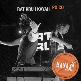 Album cover of Po co (Kayax XX Rework)