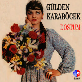 Album cover of Dostum