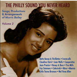 Album cover of The Philly Sound You Never Heard Vol. 2: Songs, Productions & Arrangements of Morris Bailey