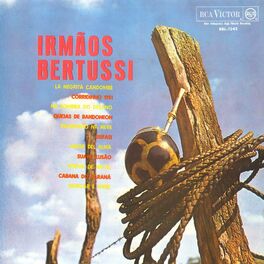 Album cover of Irmãos Bertussi