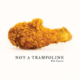 Album cover of Not a Trampoline