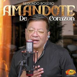 Album cover of Amandote de Corazón