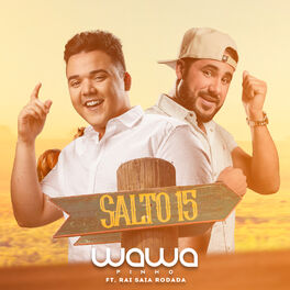Album cover of Salto 15