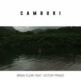 Album cover of Camburi