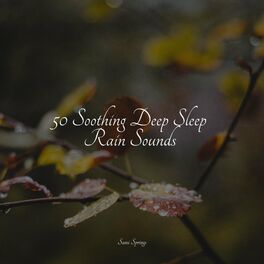 Album cover of 50 Soothing Deep Sleep Rain Sounds