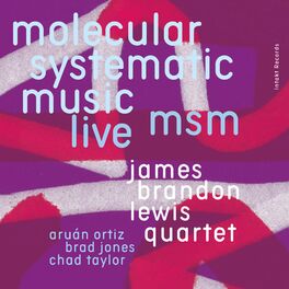 Album cover of MSM Molecular Systematic Music (Live)