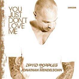 Album cover of You Just Don't Love Me