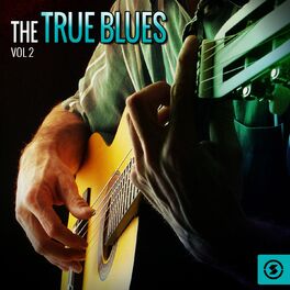 Album cover of True Blues, Vol. 2