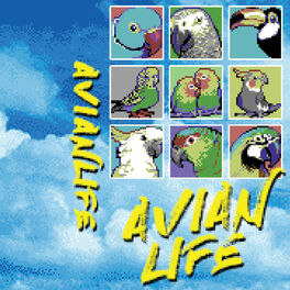 Album cover of Avian Life