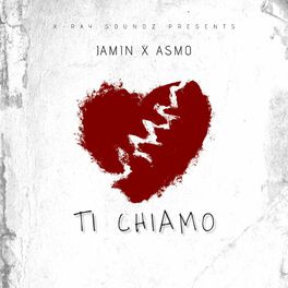 Album cover of Ti chiamo (feat. JAMIN)
