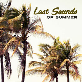 Album cover of Last Sounds of Summer – Summer Music, Chillout 2017, Relax, Top Hits, Cafe Music, Sexy Vibes,