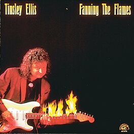 Album cover of Fanning The Flames