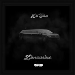 Album cover of Limousine