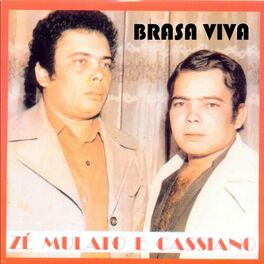 Album cover of Brasa Viva