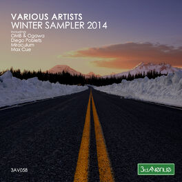 Album cover of Winter Sampler 2014
