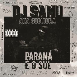 Album cover of Paraná É o Sul
