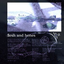 Album cover of flesh and bones
