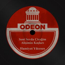 Album cover of Seni Sevda Çiceğim / Alişimin Kaşları