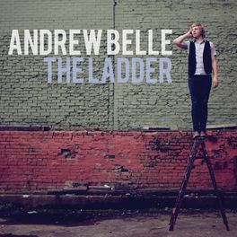 Album cover of The Ladder