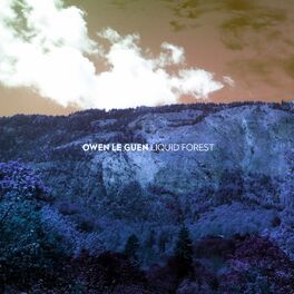 Album cover of Liquid Forest