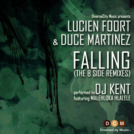 Album cover of Falling (B Side Remixes)