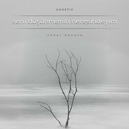 Album cover of Seni Düşünmenin Neresindeyim (Acoustic version)