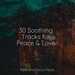 Album cover of 30 Soothing Tracks for Peace & Love