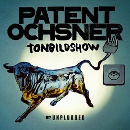 Album cover of MTV Unplugged Tonbildshow