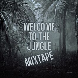 Album cover of Welcome To The Jungle