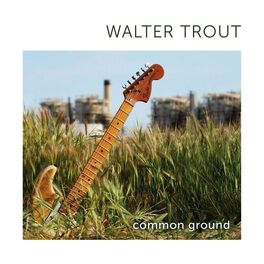Album cover of Common Ground