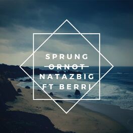 Album cover of Sprung Or Not (feat. Berri)