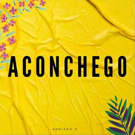 Album cover of Aconchego