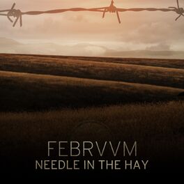 Album cover of Needle in the Hay