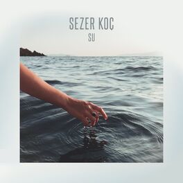 Album cover of Su