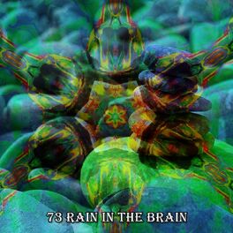 Album cover of 73 Rain in the Brain
