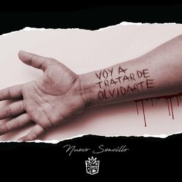 Album cover of Voy a Tratar de Olvidarte
