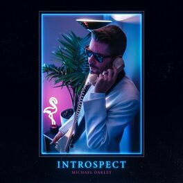 Album cover of Introspect