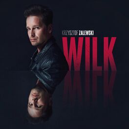 Album cover of Wilk