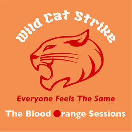 Wild Cat Strike Everyone Feels The Same The Blood Orange Sessions Lyrics And Songs Deezer