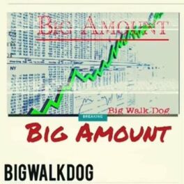 Album cover of Big Amount