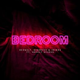 Album cover of Bedroom (feat. Bright Sparks)